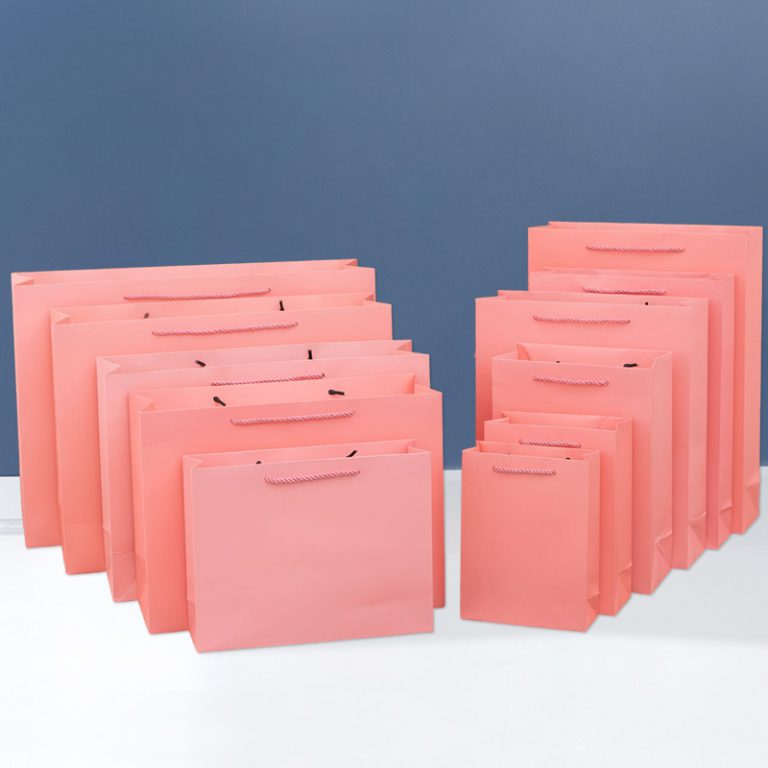 paper bag (10)
