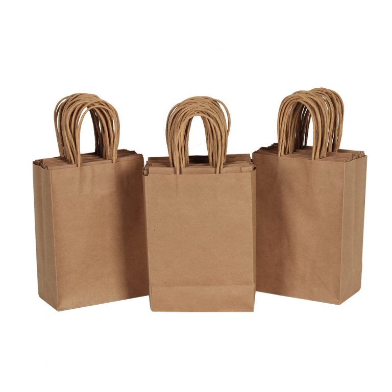 takeaway bag (3)