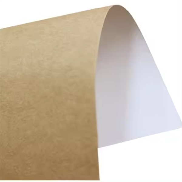 CCNB Paper